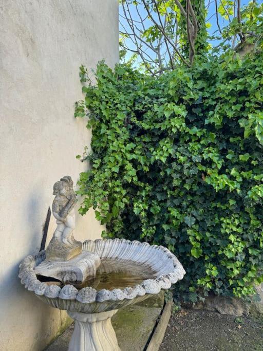 Appartement De Plain-Pied Avec Jardin Avignon Exterior photo