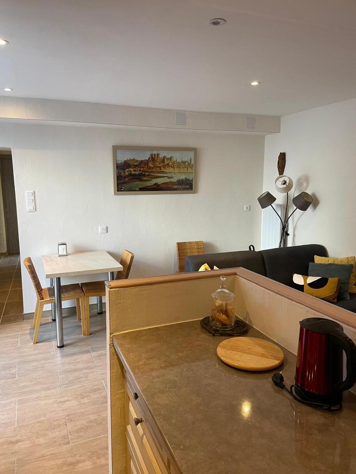 Appartement De Plain-Pied Avec Jardin Avignon Exterior photo